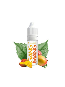 Liquideo - Evolution - Gang Mang 10 mL