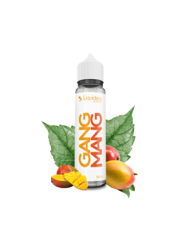 Liquideo - Evolution - Gang Mang 50 mL